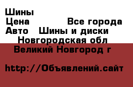 Шины bridgestone potenza s 2 › Цена ­ 3 000 - Все города Авто » Шины и диски   . Новгородская обл.,Великий Новгород г.